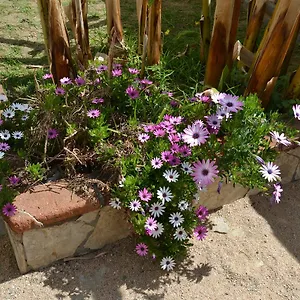 Pensjonat Casa Torrent, Canet De Mar
